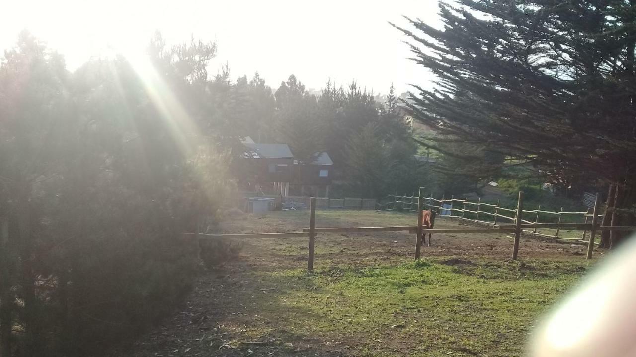 Cabo Polonio * Pichilemu
